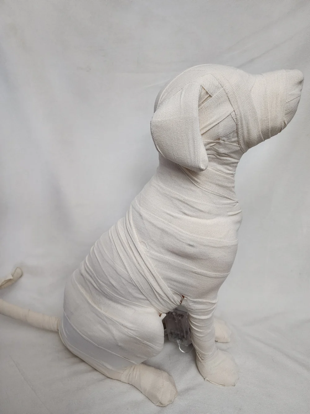Martha Stewart Halloween Lightup Mummy Dog  Display 24